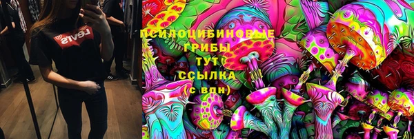 прущая мука Аркадак