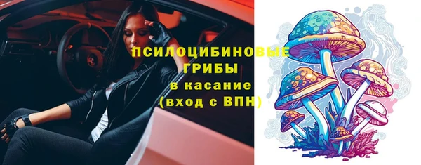 стафф Армянск