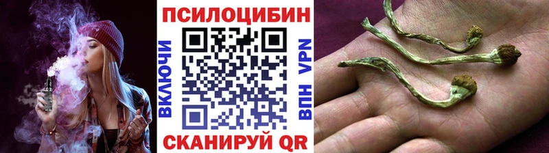 Псилоцибиновые грибы мухоморы Менделеевск